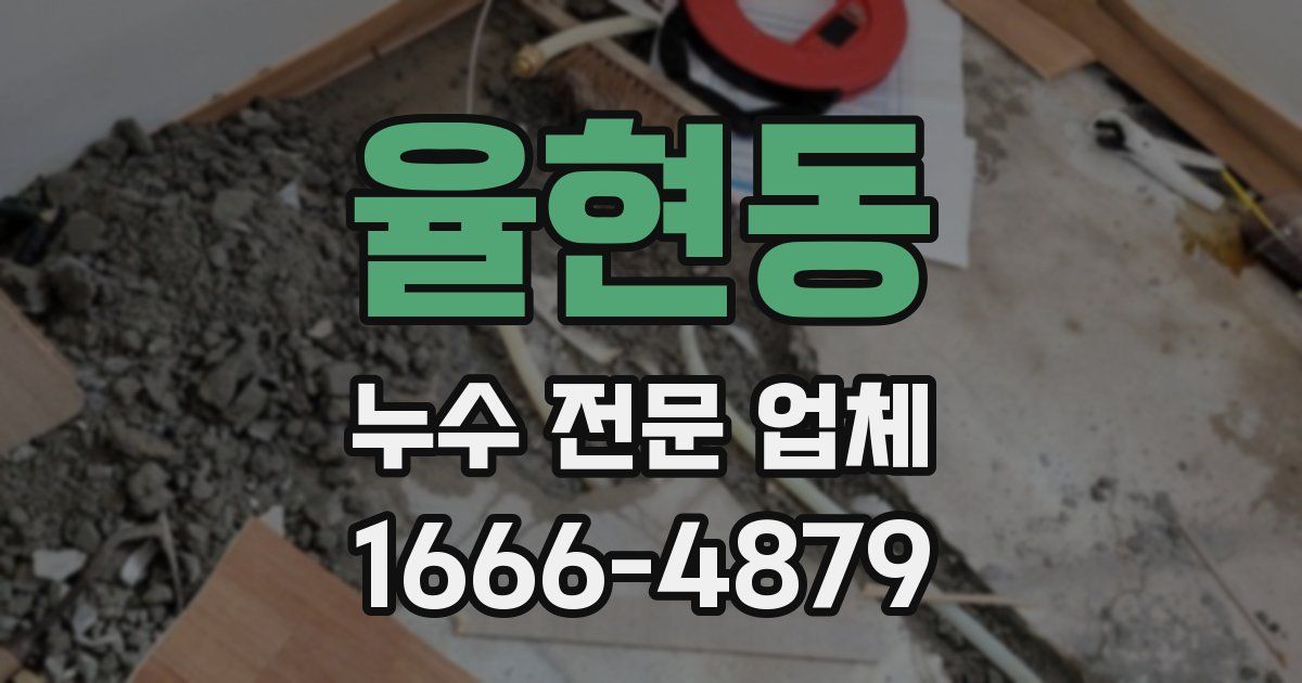 율현동 누수 전문 업체