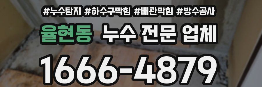 율현동 누수 전문 업체
