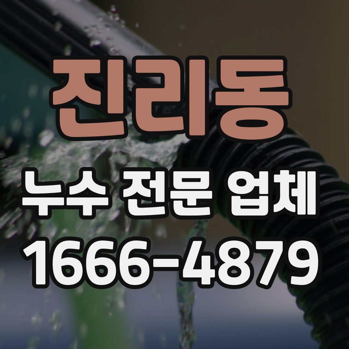 진리동 누수 전문 업체