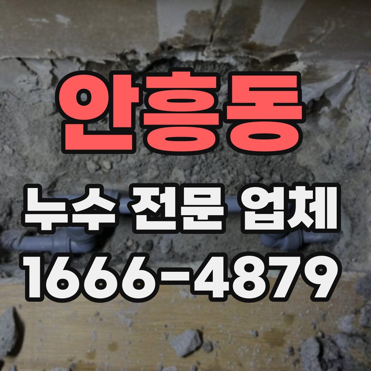 안흥동 누수 전문 업체