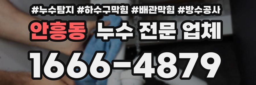 안흥동 누수 전문 업체