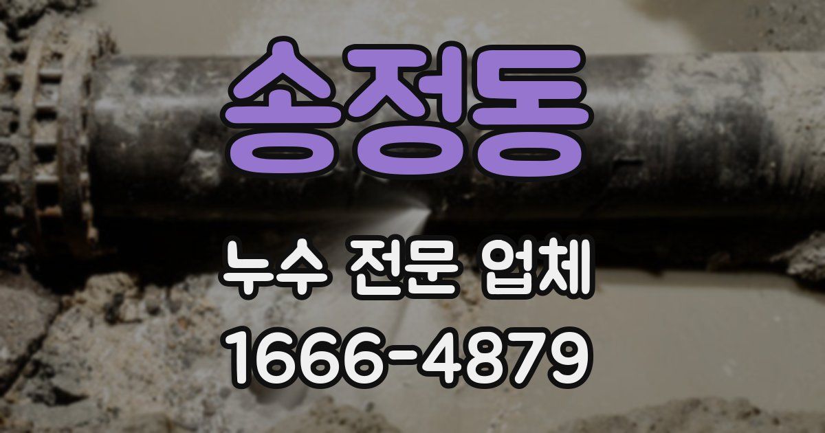 송정동 누수 전문 업체
