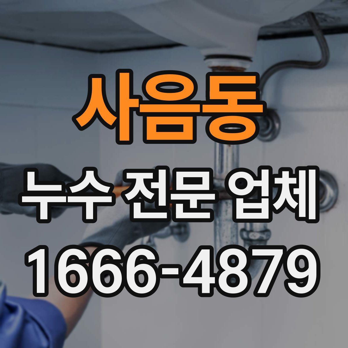 사음동 누수 전문 업체