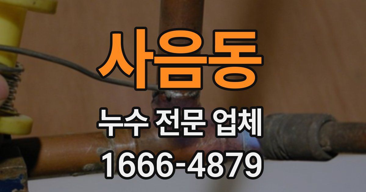 사음동 누수 전문 업체