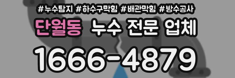 단월동 누수 전문 업체