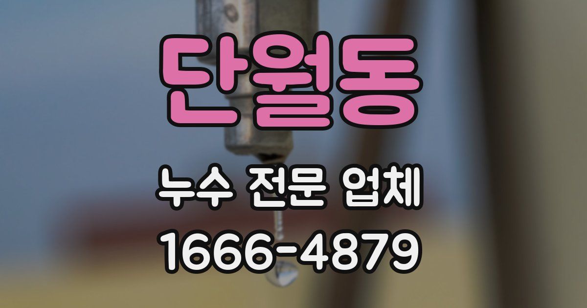 단월동 누수 전문 업체