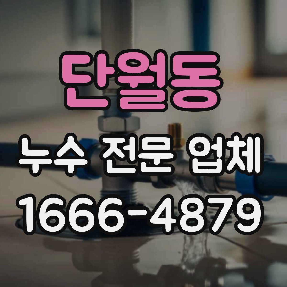 단월동 누수 전문 업체
