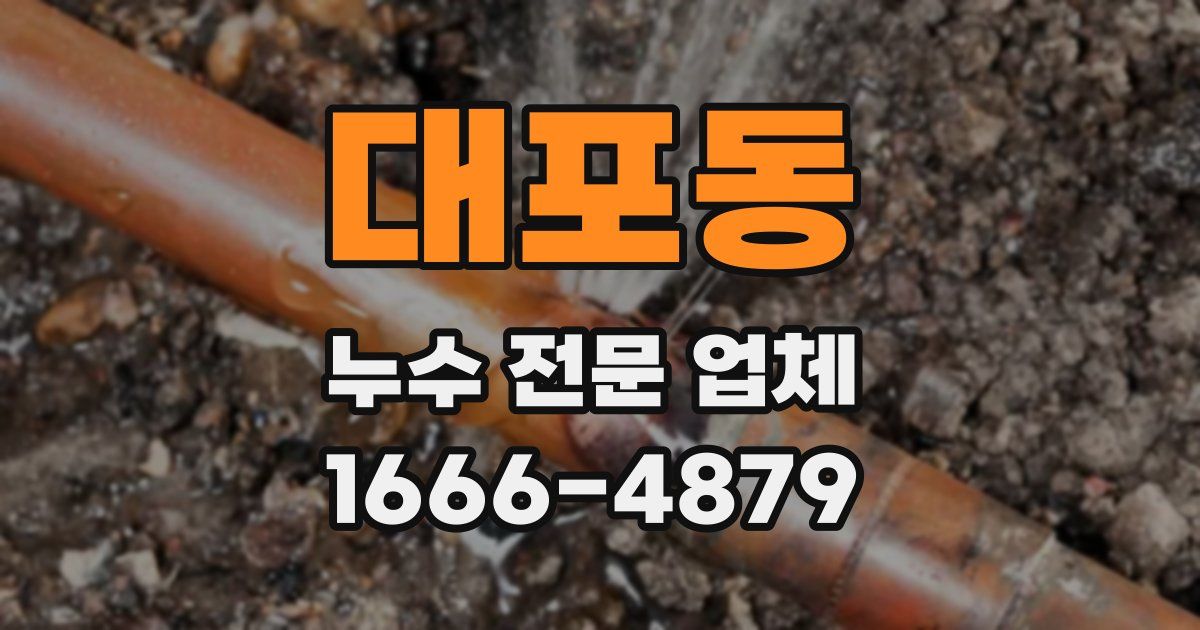 대포동 누수 전문 업체