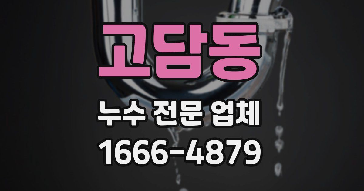 고담동 누수 전문 업체