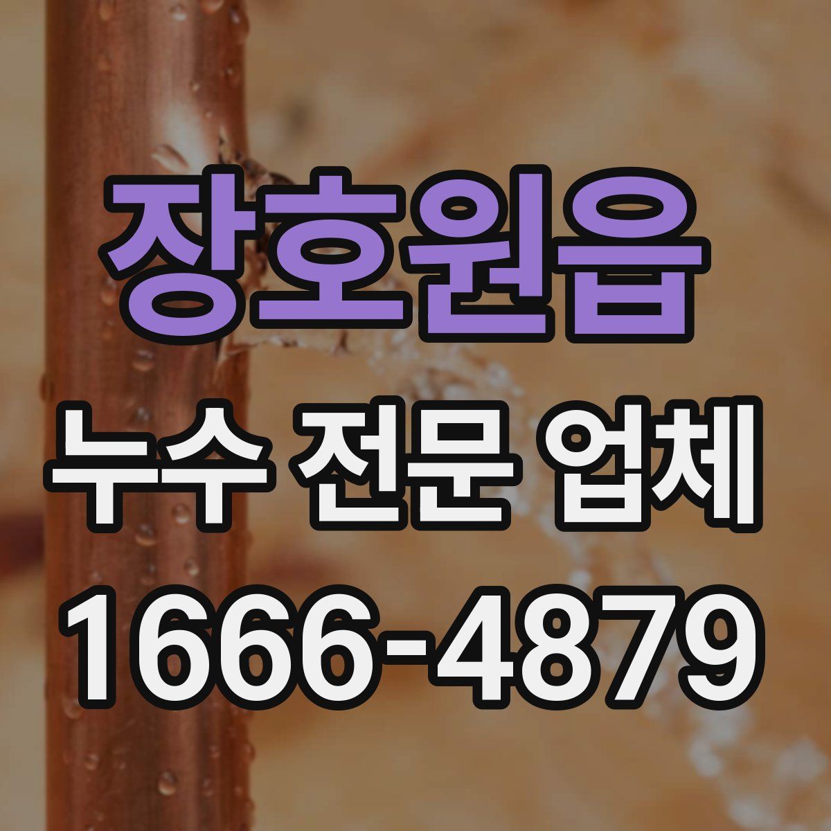 장호원읍 누수 전문 업체