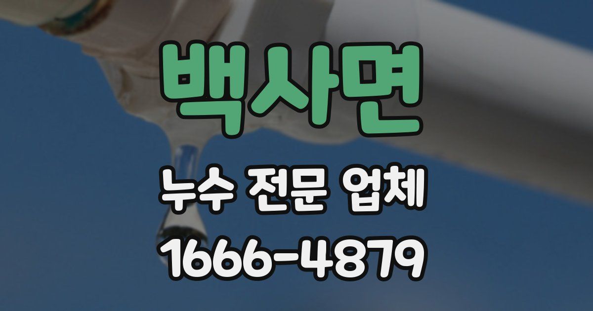 백사면 누수 전문 업체