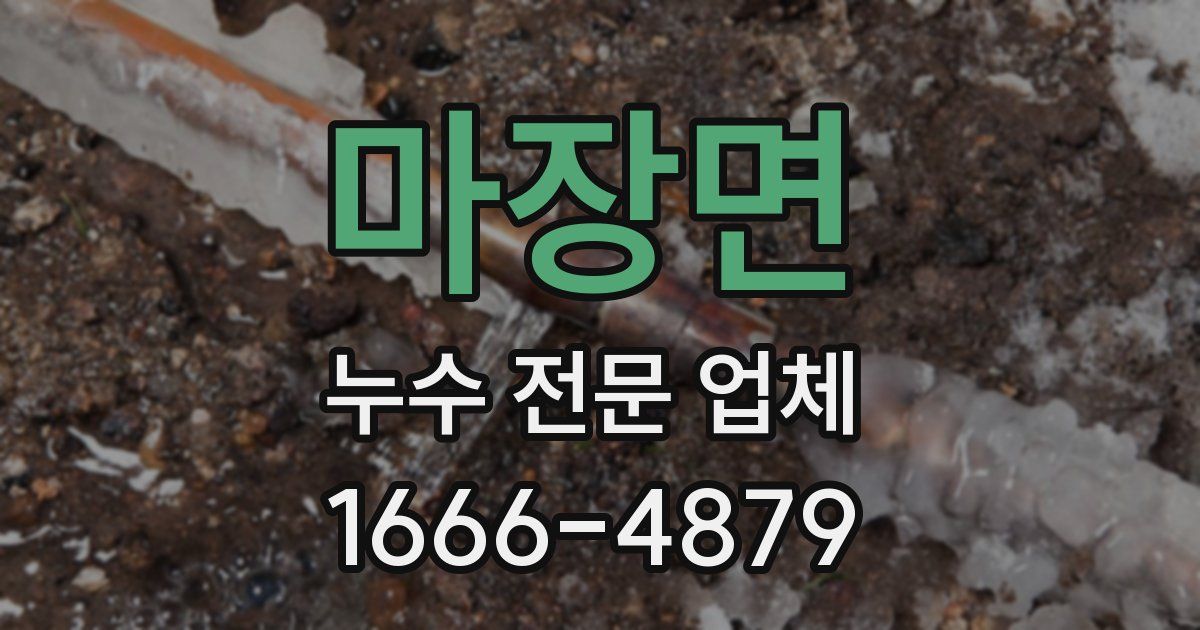 마장면 누수 전문 업체