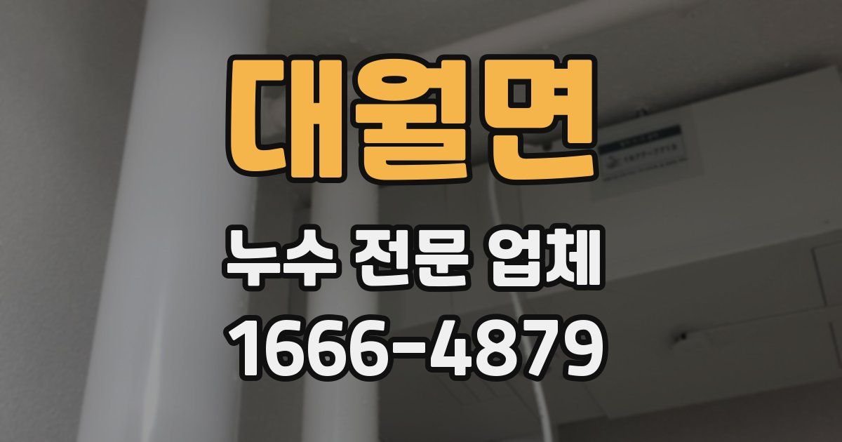 대월면 누수 전문 업체