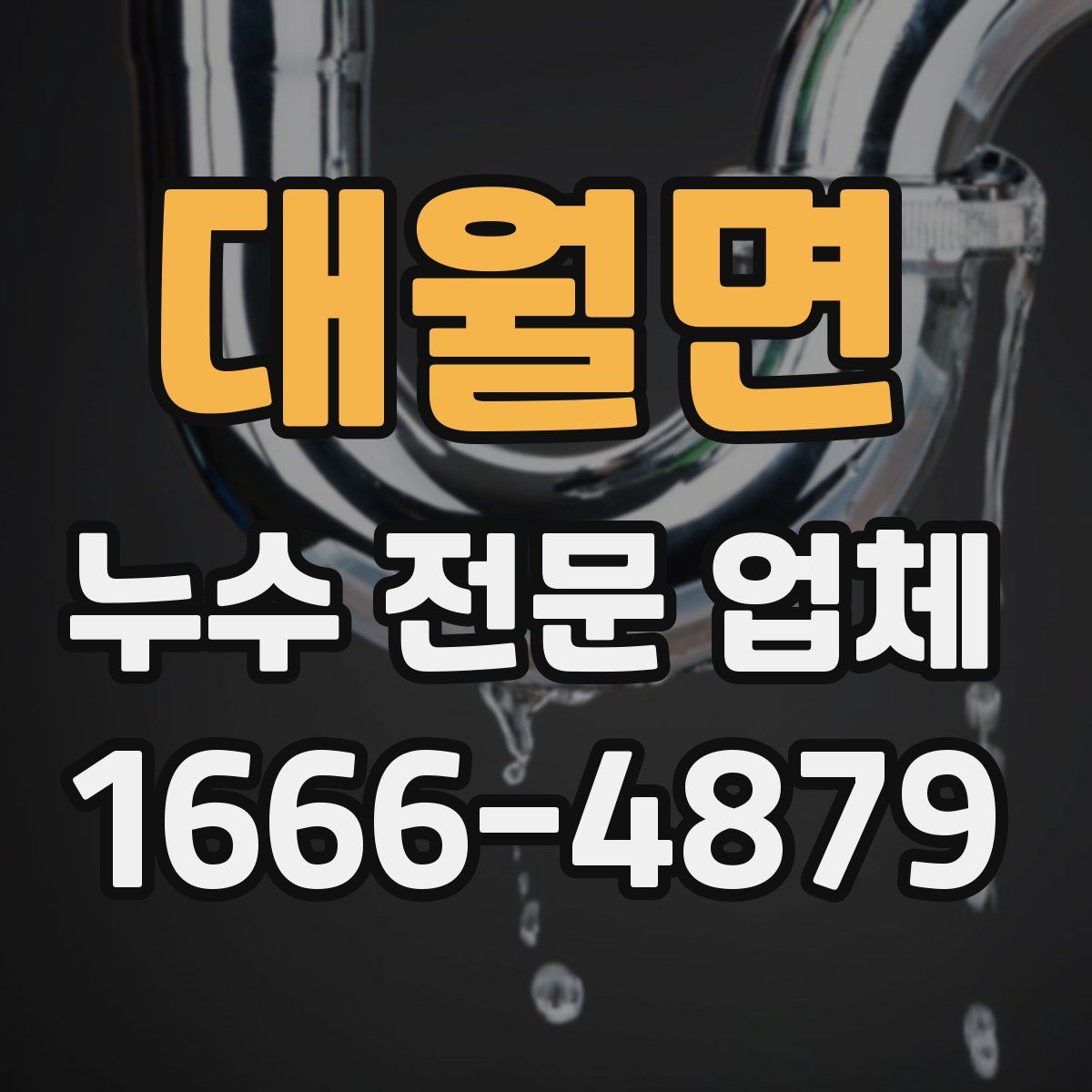 대월면 누수 전문 업체