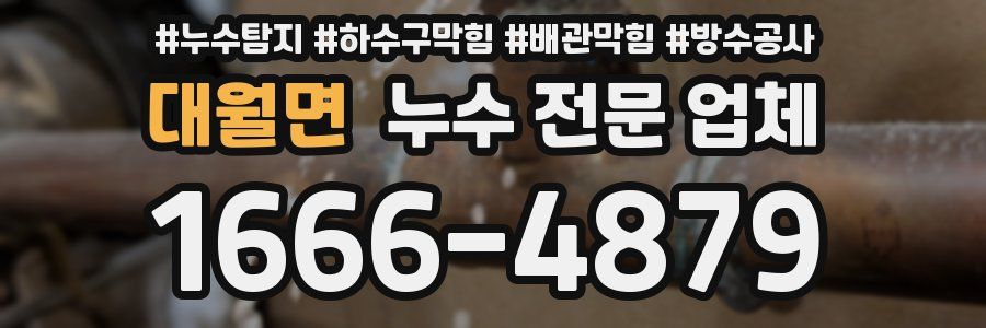 대월면 누수 전문 업체