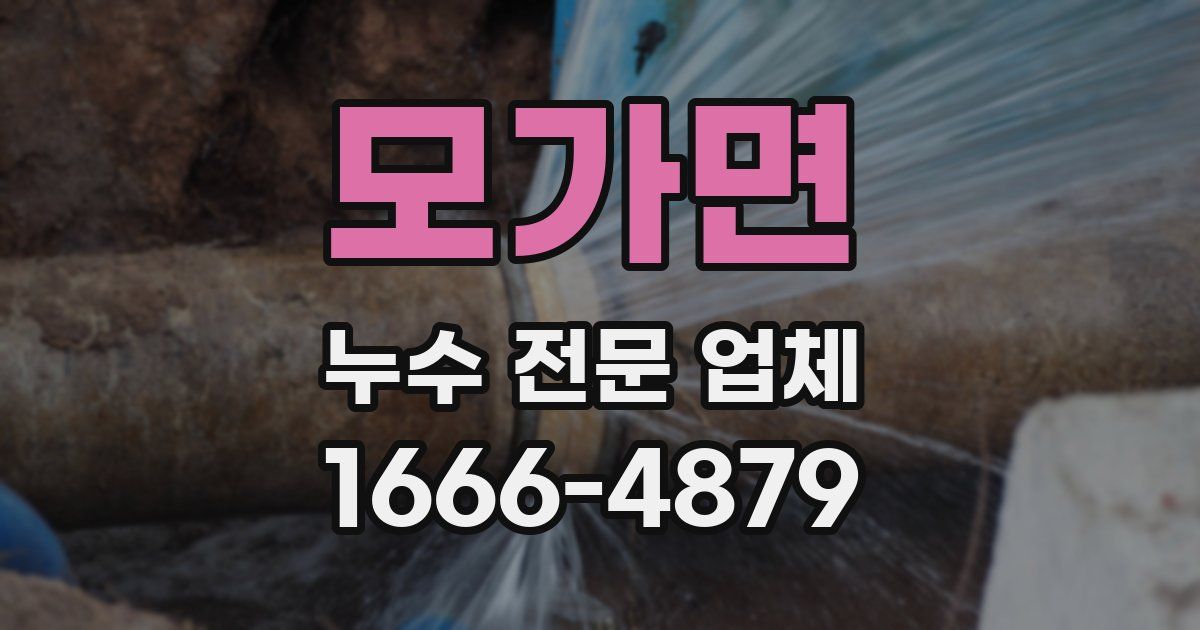 모가면 누수 전문 업체