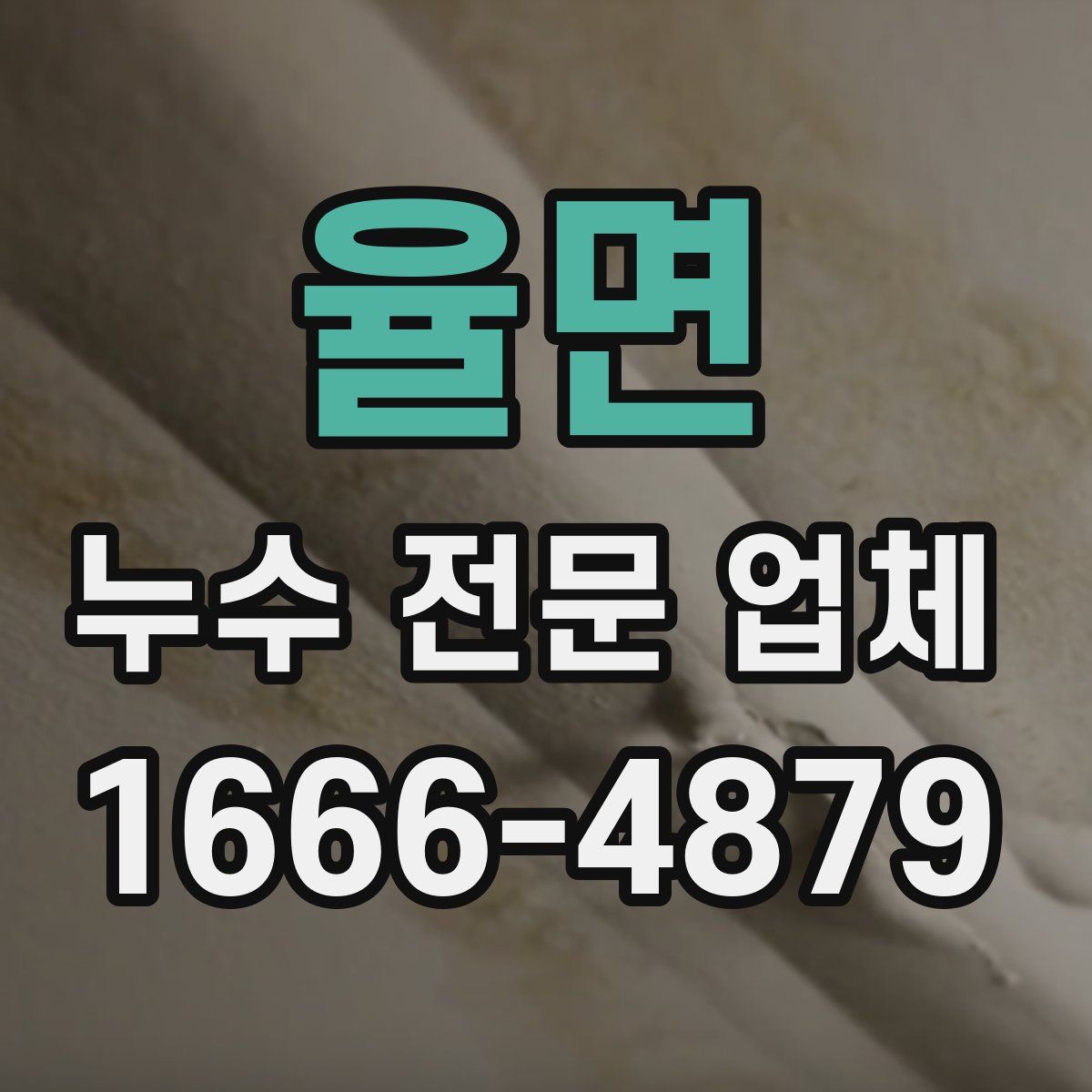 율면 누수 전문 업체