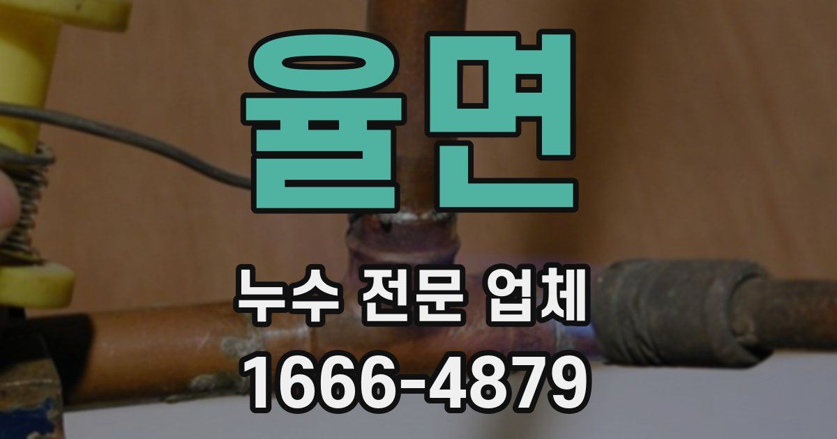 율면 누수 전문 업체