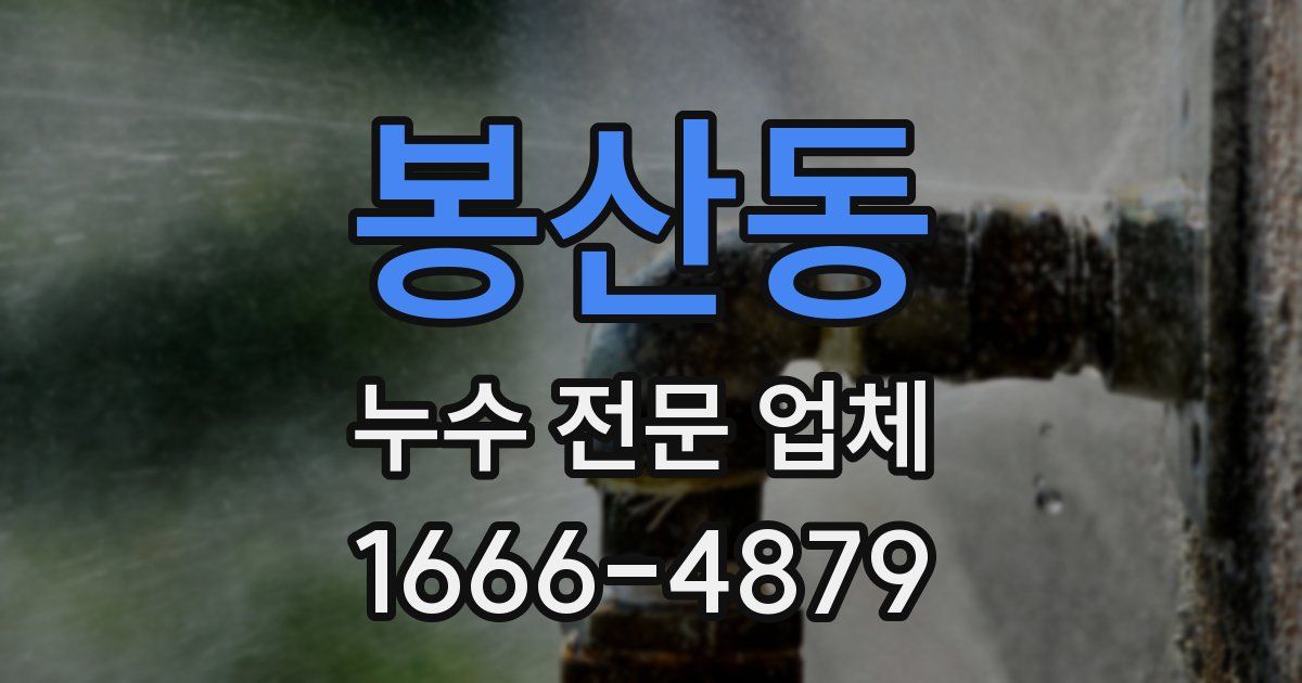 봉산동 누수 전문 업체