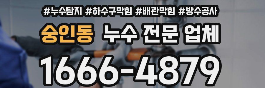 숭인동 누수 전문 업체