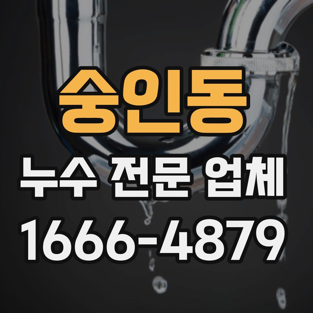 숭인동 누수 전문 업체