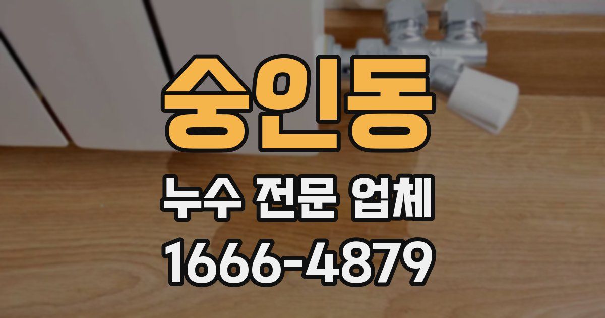 숭인동 누수 전문 업체