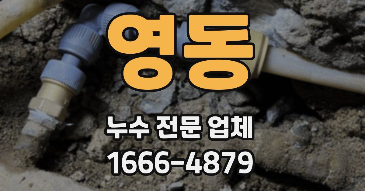 영동 누수 전문 업체