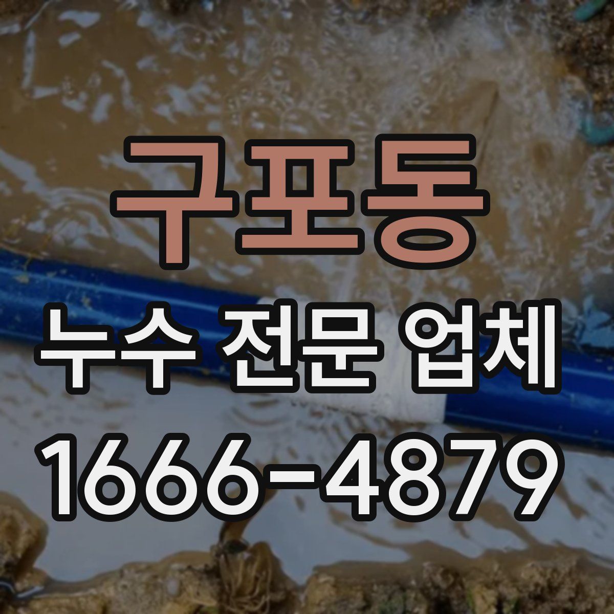 구포동 누수 전문 업체