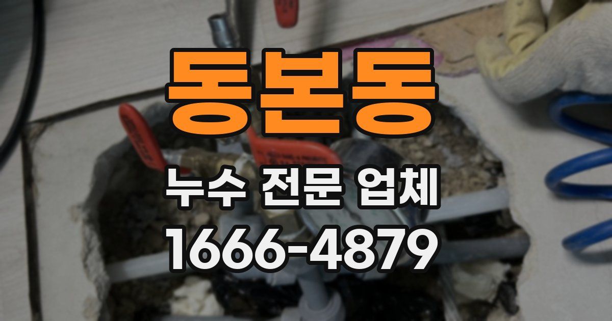 동본동 누수 전문 업체