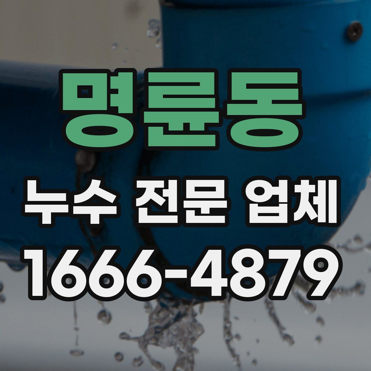 명륜동 누수 전문 업체