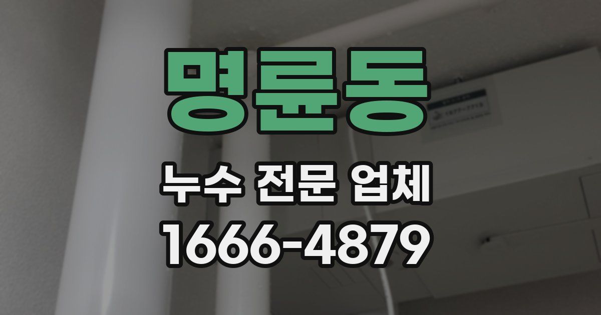 명륜동 누수 전문 업체