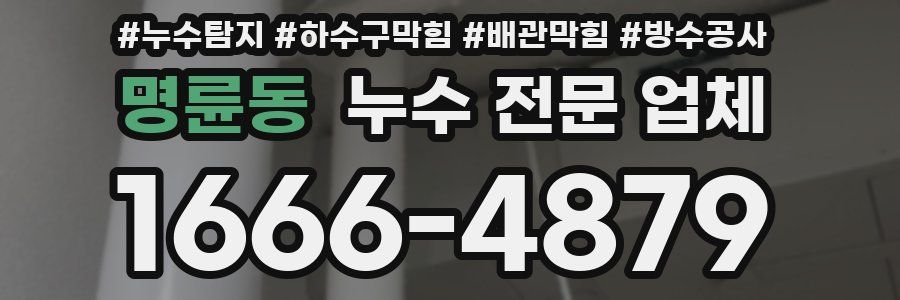 명륜동 누수 전문 업체