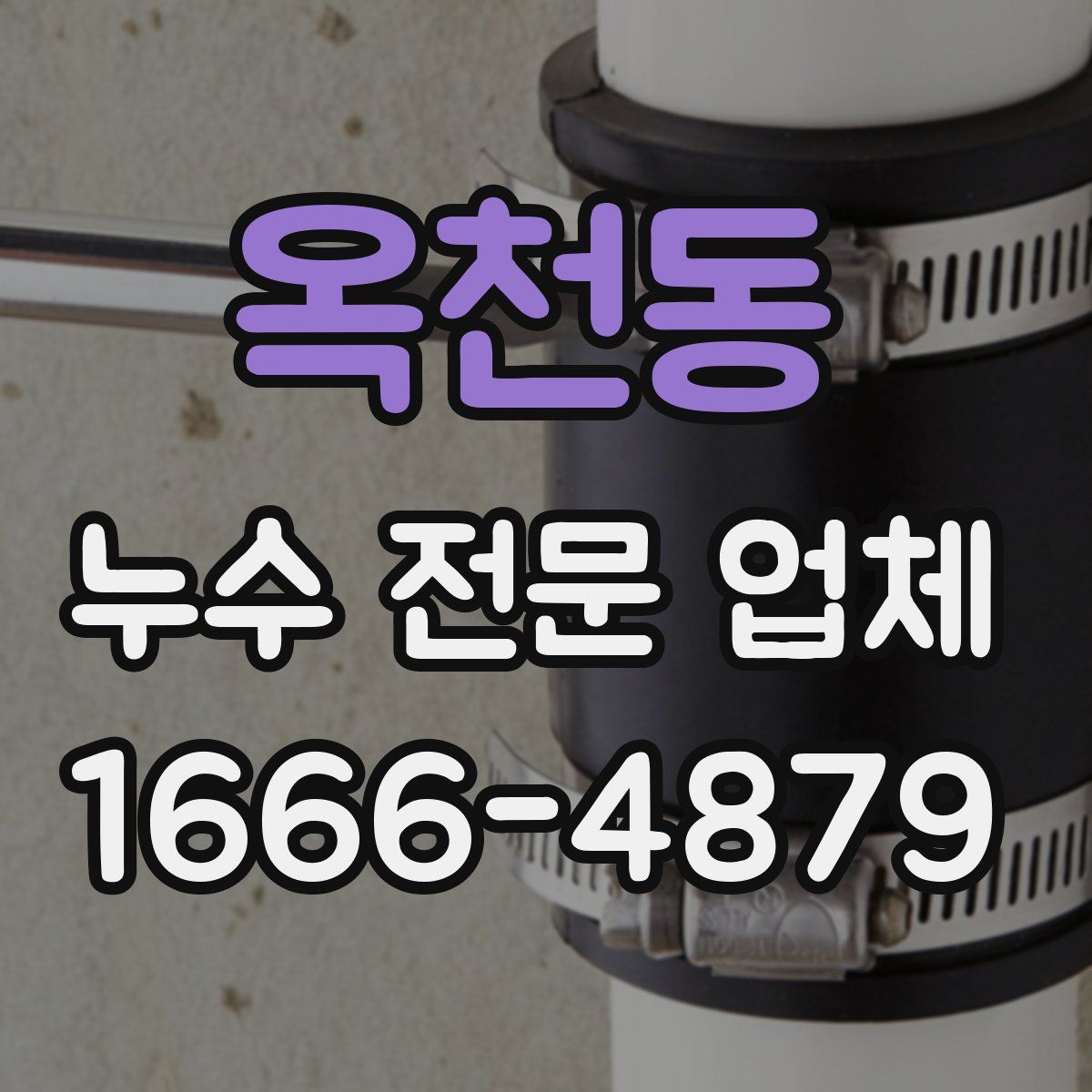 옥천동 누수 전문 업체