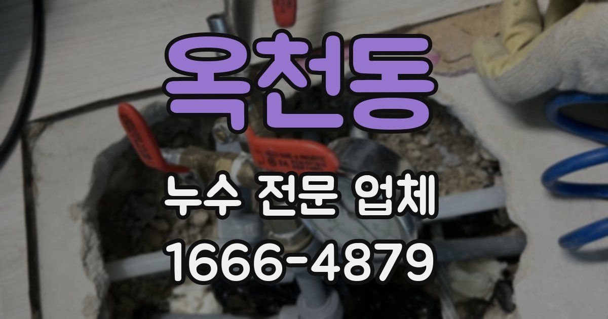 옥천동 누수 전문 업체