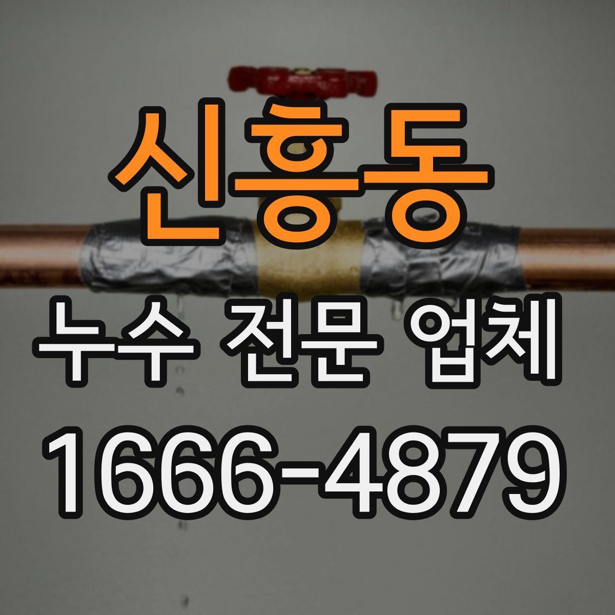 신흥동 누수 전문 업체