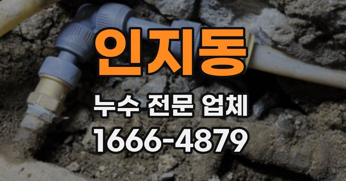 인지동 누수 전문 업체