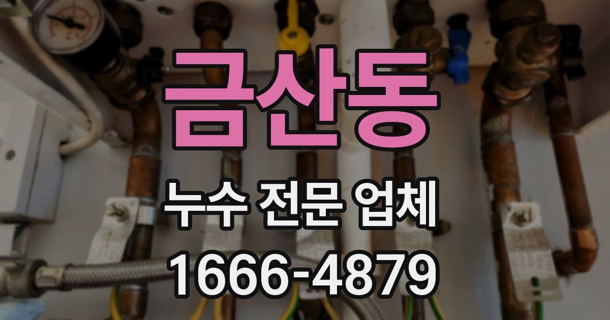 금산동 누수 전문 업체