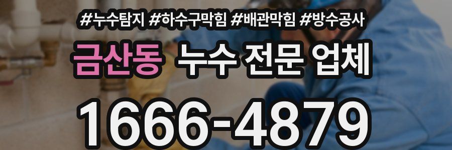 금산동 누수 전문 업체