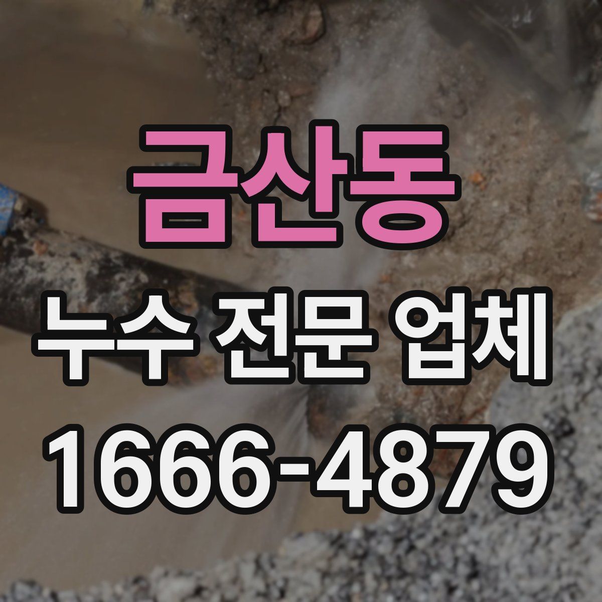 금산동 누수 전문 업체