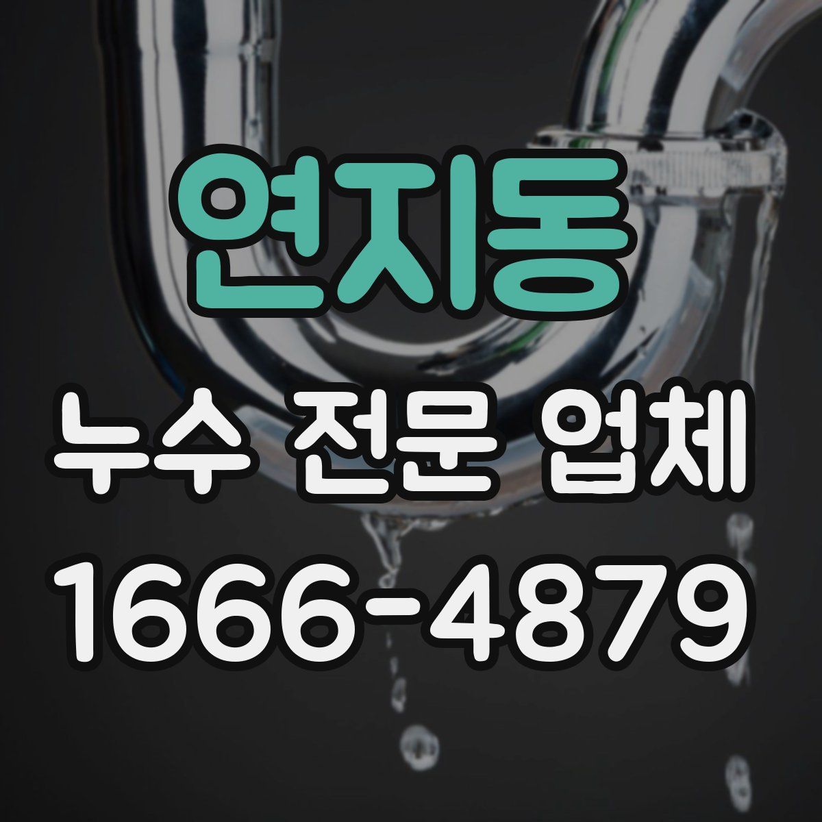 연지동 누수 전문 업체