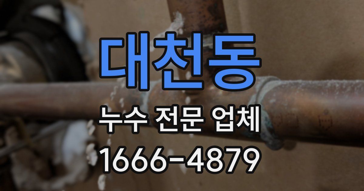 대천동 누수 전문 업체
