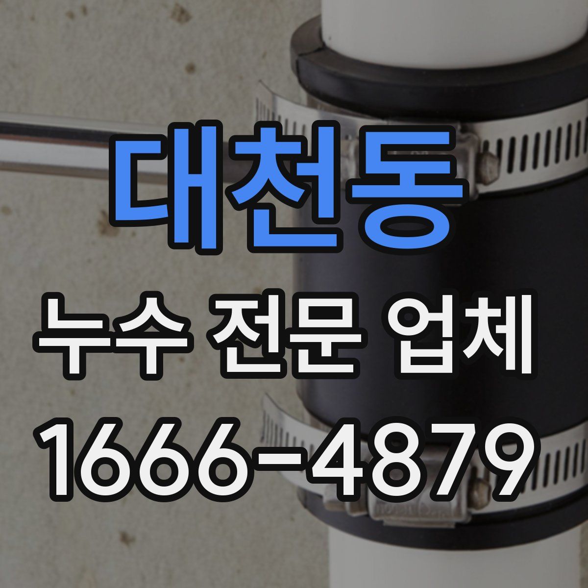 대천동 누수 전문 업체