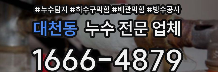 대천동 누수 전문 업체