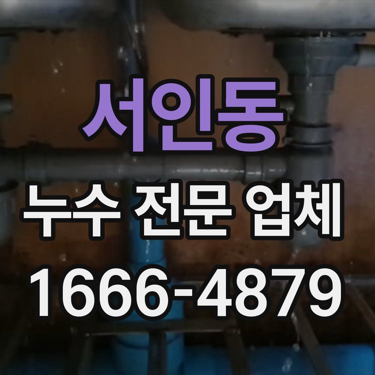 서인동 누수 전문 업체