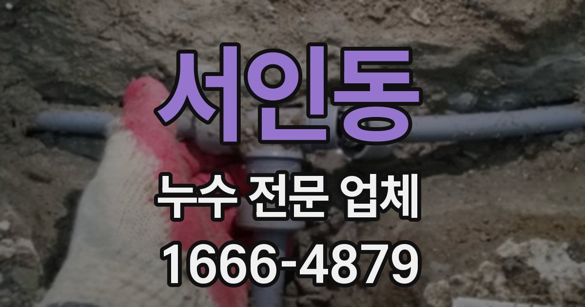 서인동 누수 전문 업체
