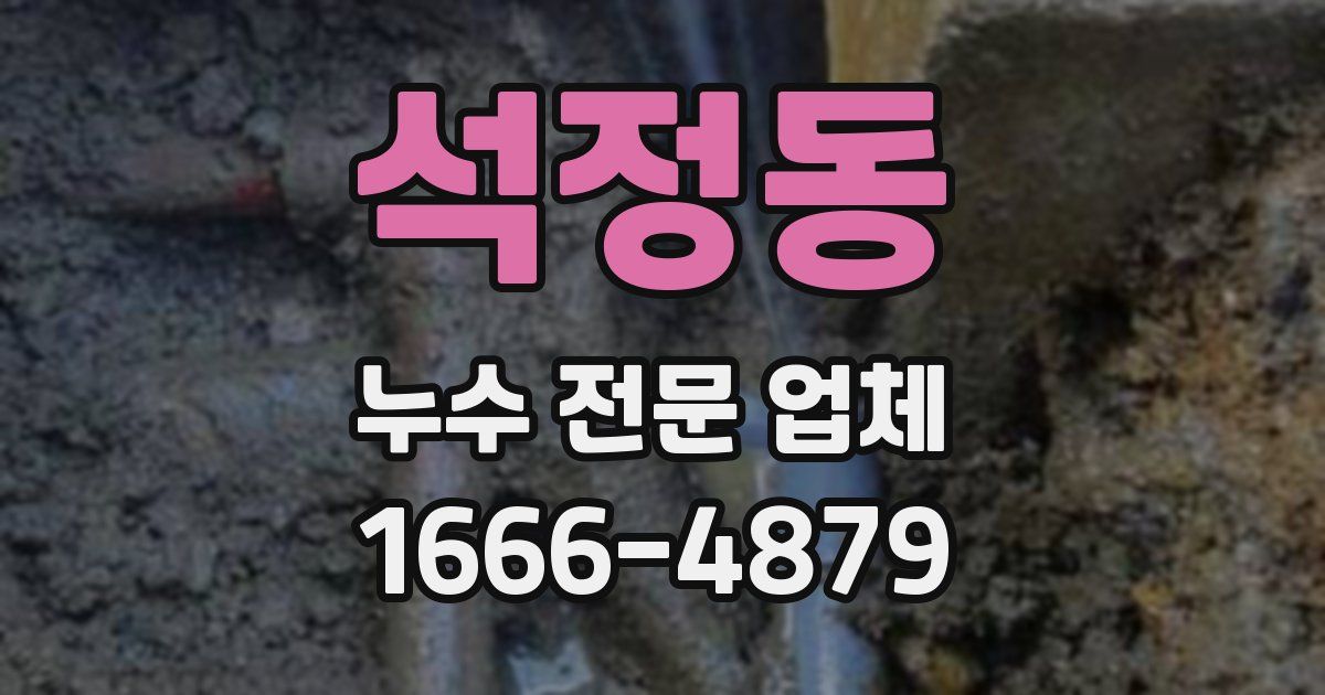 석정동 누수 전문 업체