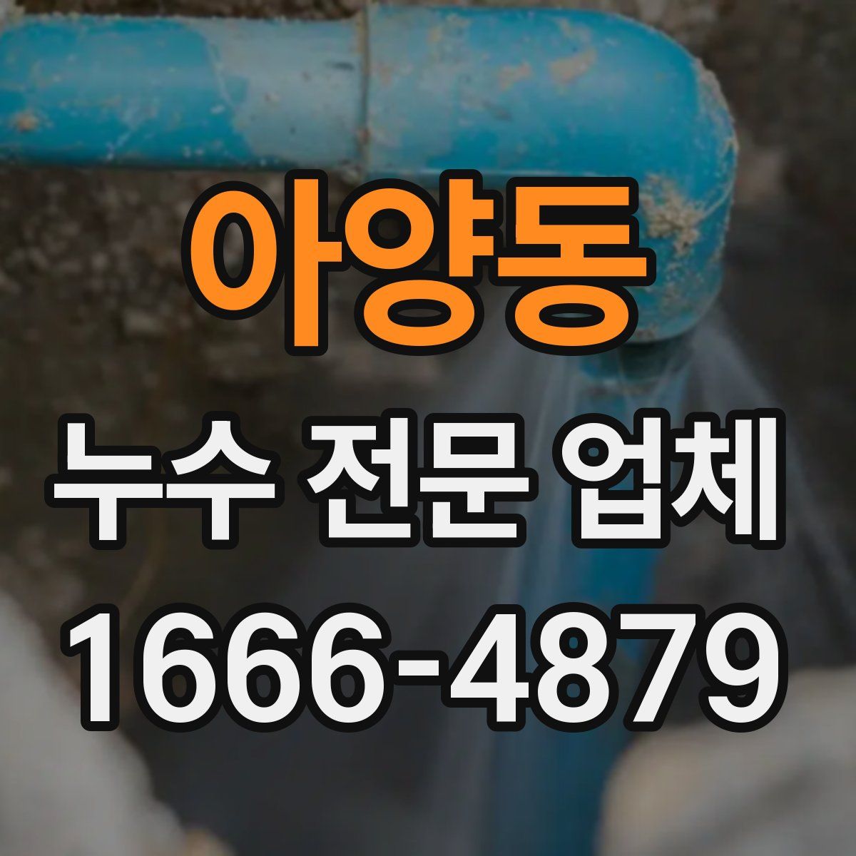 아양동 누수 전문 업체