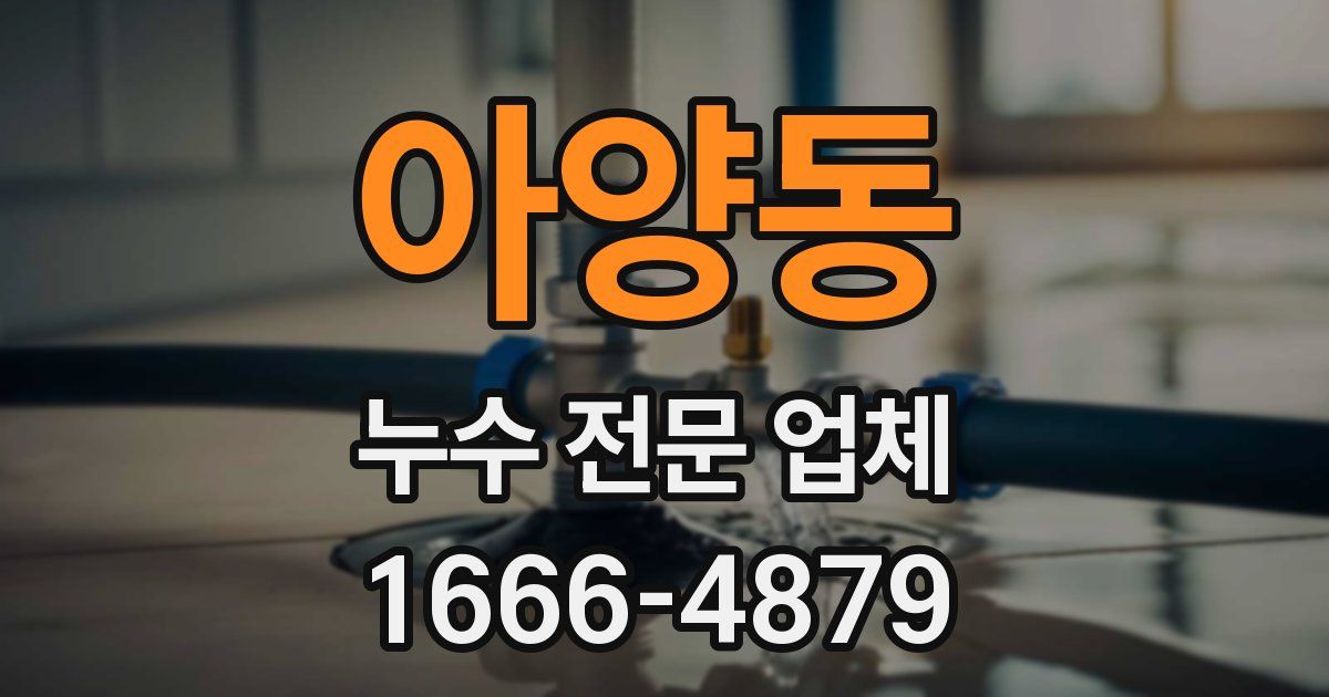아양동 누수 전문 업체