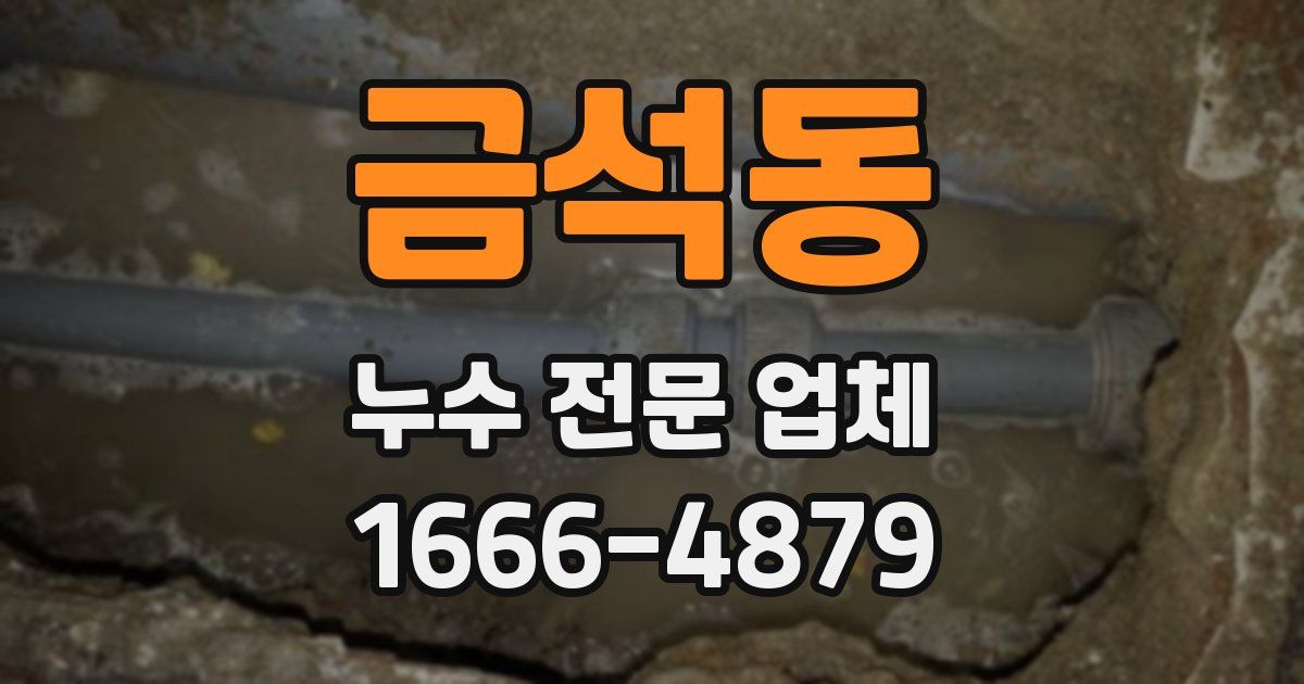 금석동 누수 전문 업체