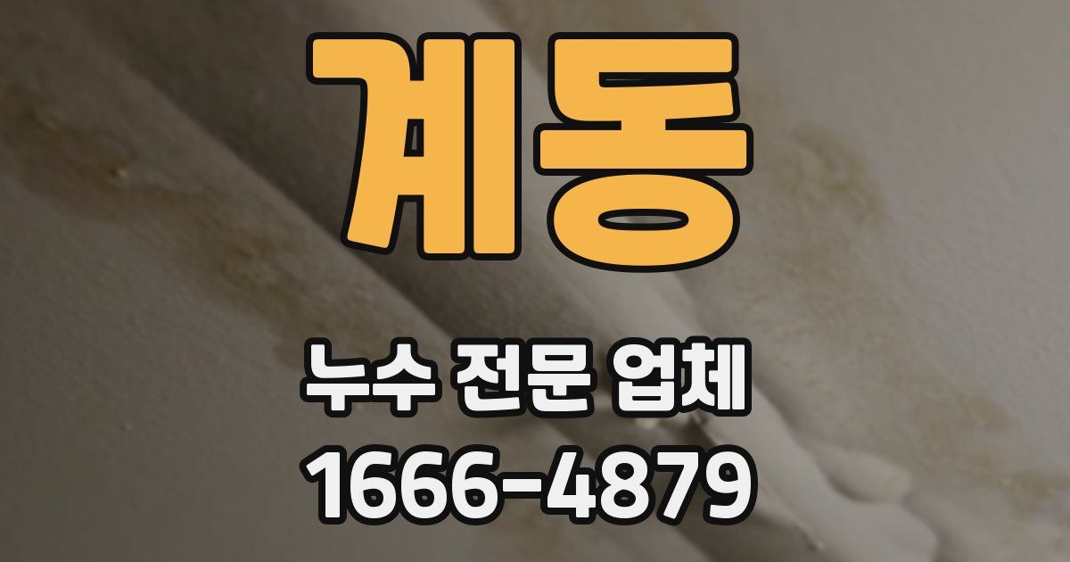 계동 누수 전문 업체